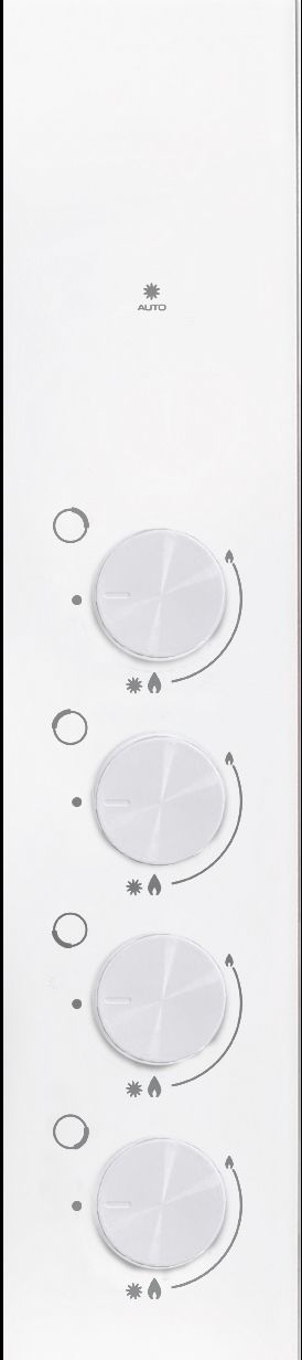 Plaque de Cuisson Gaz BPG3400W